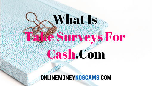What Is Take Surveys For Cash.Com