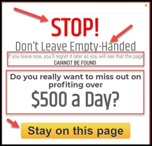 Make 500 A Day With Cash Website Success