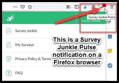 This Is A  Survey Junkie Pulse Notification On A Firefox Browser